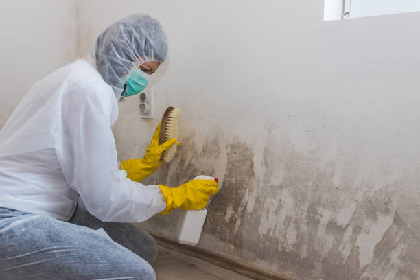 Best Crawl Space Mold Remediation in North Industry, OH